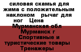 силовая скамья для жима с положительным наклоном   рычаг для ног › Цена ­ 5 000 - Мурманская обл., Мурманск г. Спортивные и туристические товары » Тренажеры   